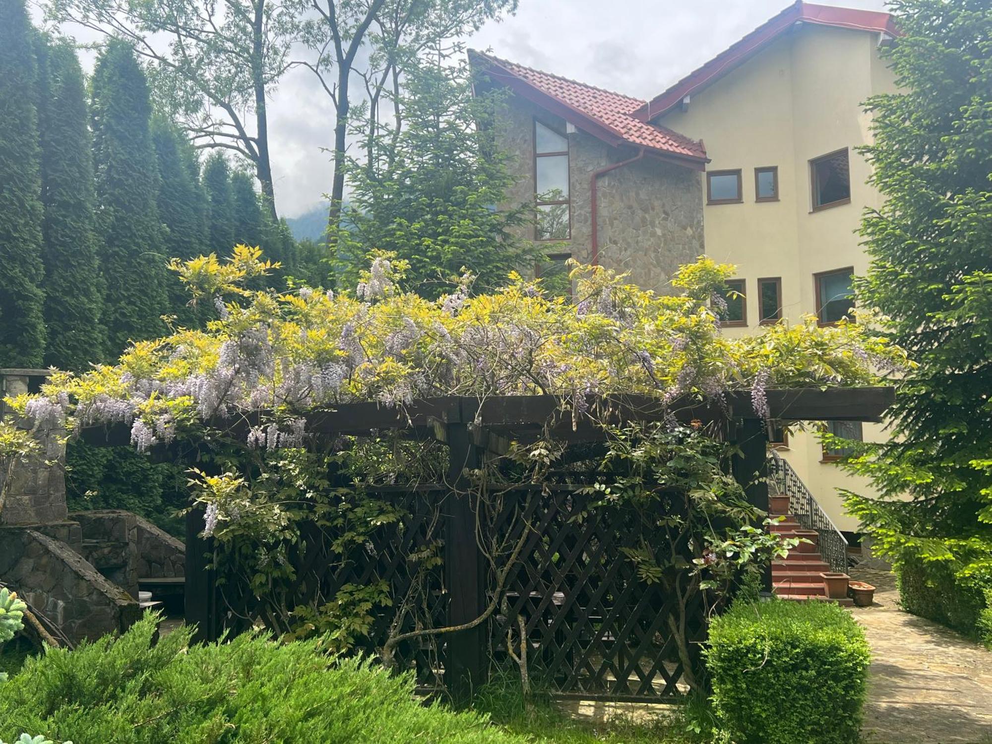 Wine Cellar Villa With Beautiful Garden In Sinaia - Busteni Poiana Tapului Exterior photo