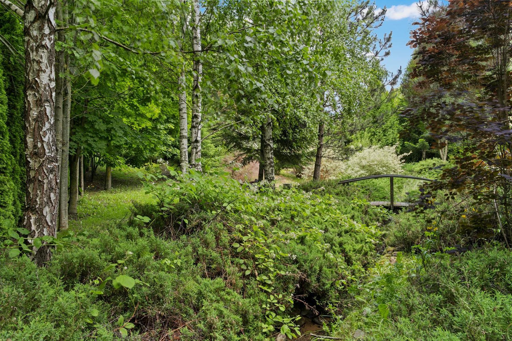 Wine Cellar Villa With Beautiful Garden In Sinaia - Busteni Poiana Tapului Exterior photo